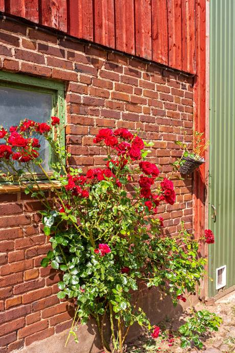 10 rum Gård/skog på Anngården   Marieholm Eslövs kommun - bild 8