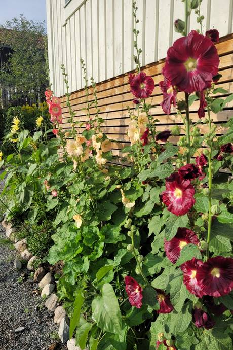 4 rum Villa på Jägarnäsvägen 71 LUDVIKA Jägarnäs Ludvika kommun - bild 53