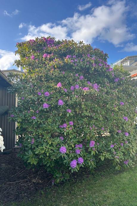 8 rum Villa på Tjuvdalsvägen 15 Näset Göteborgs kommun - bild 55