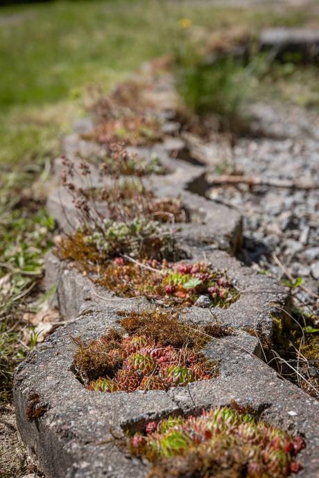 5 rum Gård/skog på Störsbäcksvägen 9 Tallåsen Ljusdals kommun - bild 78