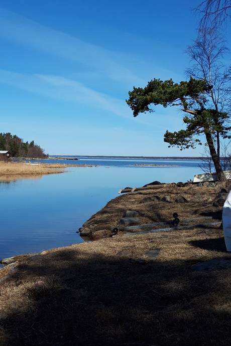 2 rum Vinterbonat fritidshus på Kolskär 121 Öregrund Östhammars kommun - bild 46