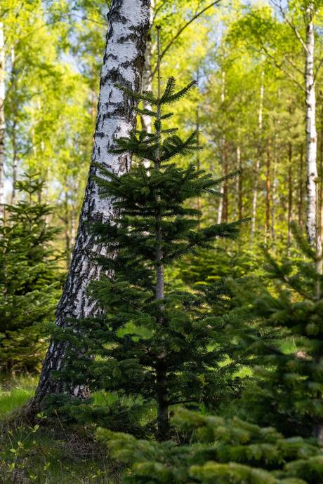 200 m² Gård utan jordbruk på Krokhusvägen 325 Ängelholm Ängelholms kommun - bild 81