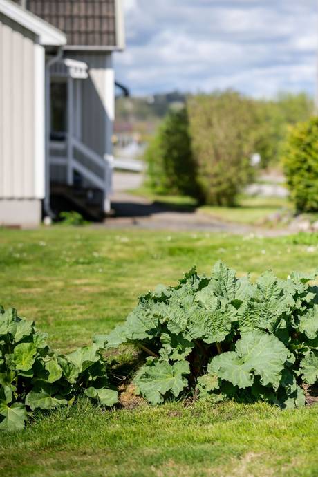 4 rum Villa på Habyvägen 31 Haby Marks kommun - bild 29