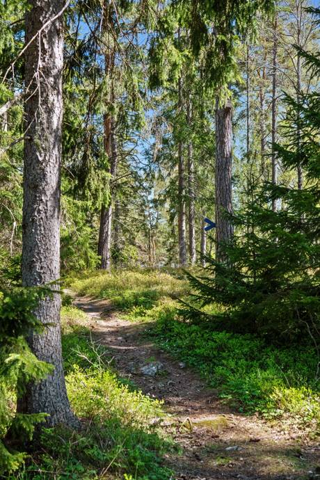 3 rum Vinterbonat fritidshus på Dånbergsvägen 3 Grovstanäs Norrtälje kommun - bild 36