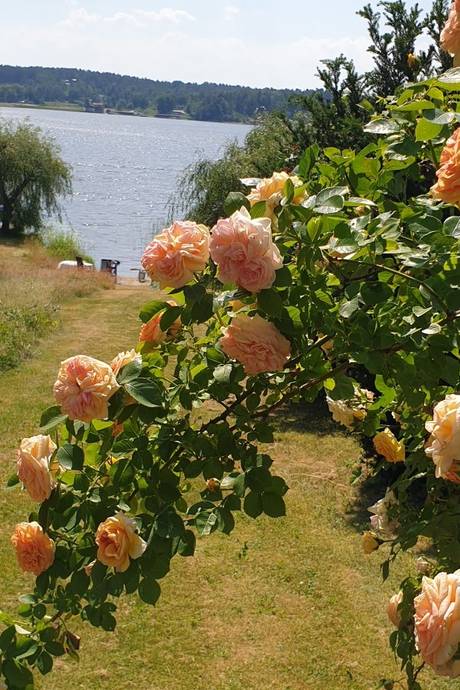 313 m² Villa på Väsbyholmsvägen 35 Mälarbaden Eskilstuna kommun - bild 127