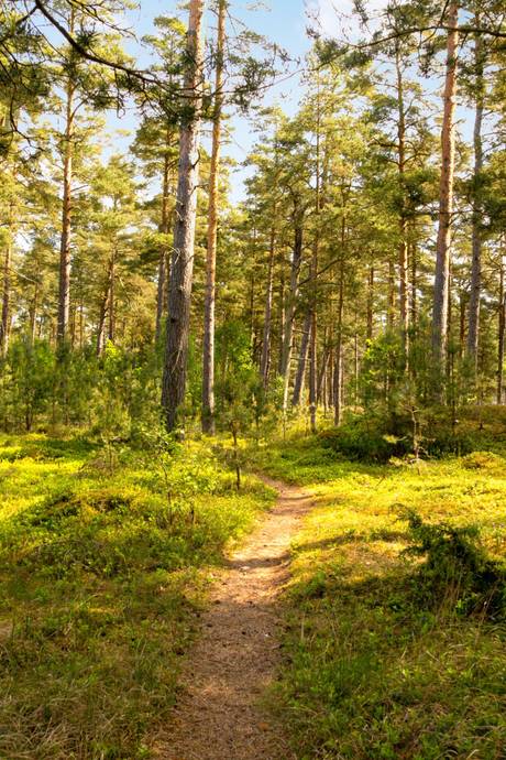 Tomt på Kvittenvägen 15 Kristianstads kommun - bild 5