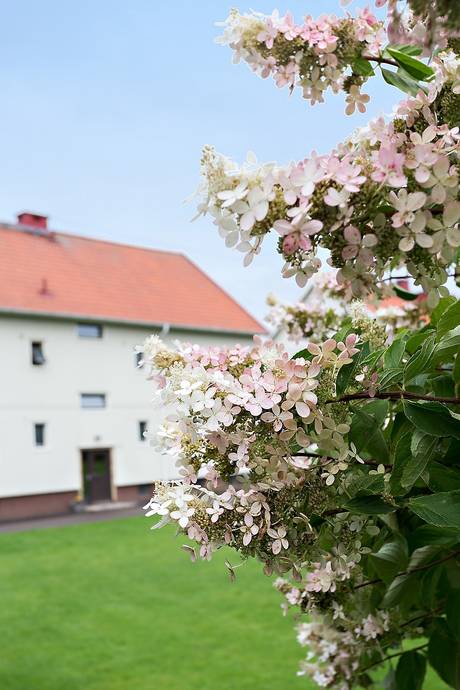 3 rum Lägenhet på Elysörvägen 1A Bohus Ale kommun - bild 19