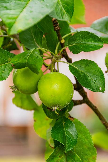 3 rum Villa på Ålbergavägen 32 Nyköpings kommun - bild 27