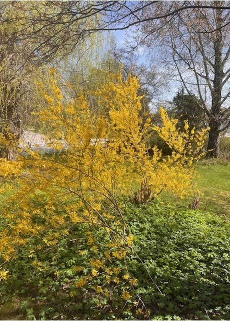 5 rum Villa på Hummelvretsvägen 66 EKERÖ Träkvista Ekerö kommun - bild 48