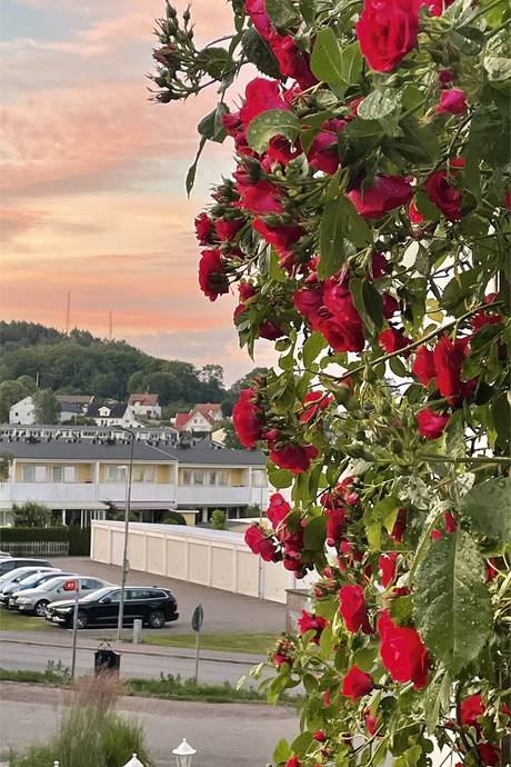5 rum Villa på Annestorpsvägen 15 Lindome | Annestorp Mölndals kommun - bild 59