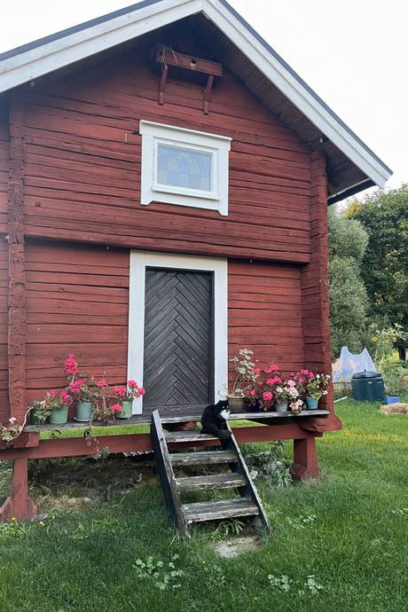 5 rum Gård/skog på Störsbäcksvägen 9 Tallåsen Ljusdals kommun - bild 44