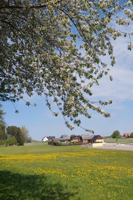 6 rum Villa på KRÅKEGÅRDSVÄGEN 20 Krågeholm Svedala kommun - bild 54