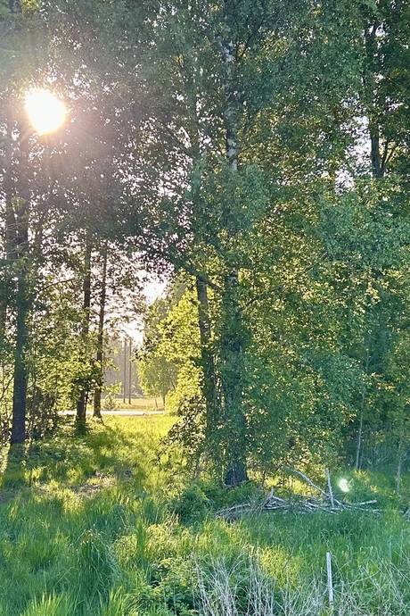 6 rum Gård/skog på Gunnarstorp Nolgården 14 Gullspångs kommun - bild 51