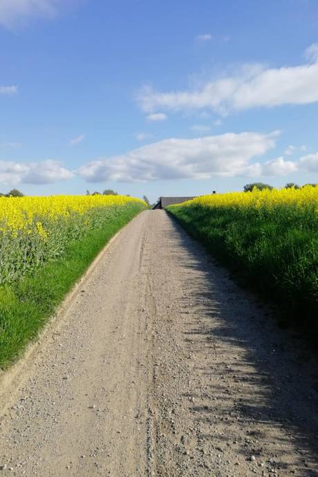 6 rum Villa på KRÅKEGÅRDSVÄGEN 20 Krågeholm Svedala kommun - bild 55
