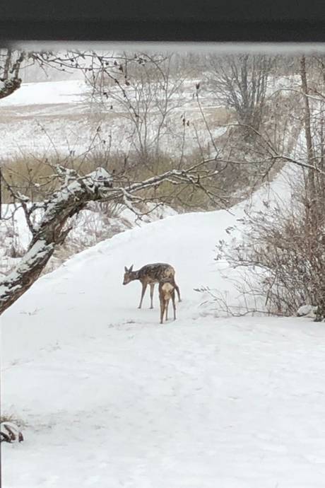 4 rum Villa på Hälletorp Åsen 1 Arvika Eda kommun - bild 69