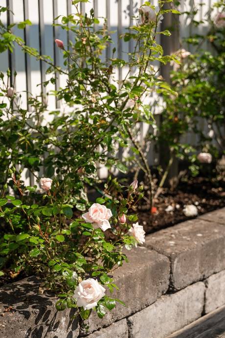 5 rum Kedjehus på Blomodlarvägen 23 Lekeryd Jönköpings kommun - bild 37