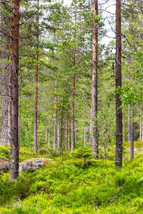3 rum Vinterbonat fritidshus på Lofttjärn 73 & Lofttjärn 75 Lofttjärn Ljusnarsbergs kommun - bild 24