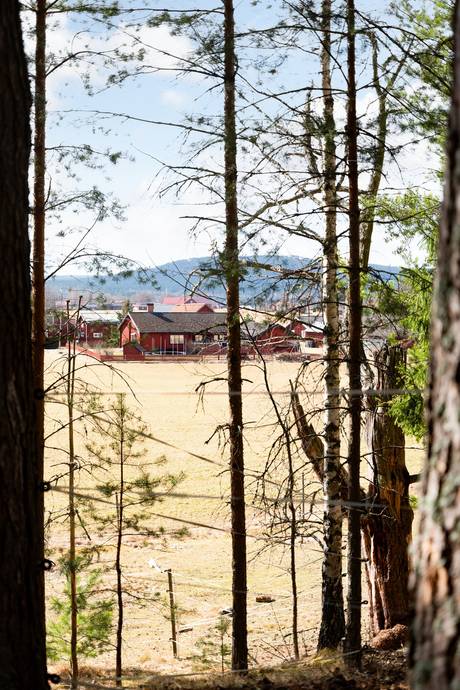 3 rum Villa på Larséns väg 7 Gagnef Gagnefs kommun - bild 55