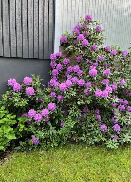 5 rum Villa på Polygonvägen 10 Viksjö Järfälla kommun - bild 10