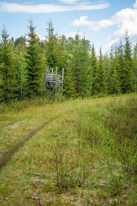 Gård med skogsbruk på Sollefteå Moflo 5:28 Moflo Sollefteå kommun - bild 13