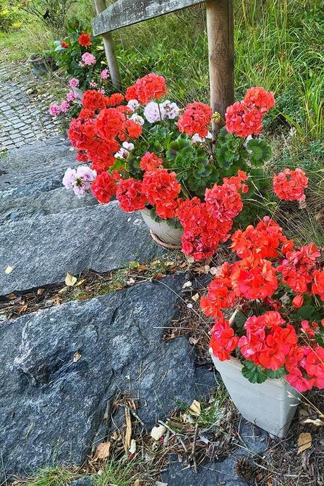 6 rum Villa på Sjöändan Ängås Bergsjön/Sjöändan Kristinehamns kommun - bild 71
