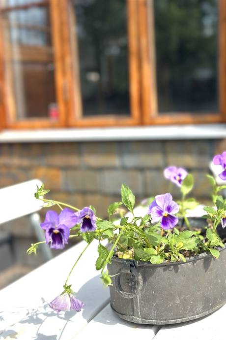 3 rum Villa på Tullgatan 3 Höganäs-Hamnområdet Höganäs kommun - bild 42