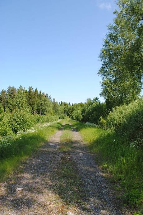 Gård med skogsbruk på Skärsjö 168 och 170 Skärsjö Heby kommun - bild 72