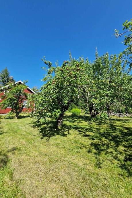 3 rum Vinterbonat fritidshus på Kallbäcksvägen 24 Skog Söderhamns kommun - bild 40
