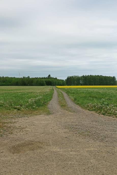 Gård med jordbruk på Govlösa Mjölby kommun - bild 19