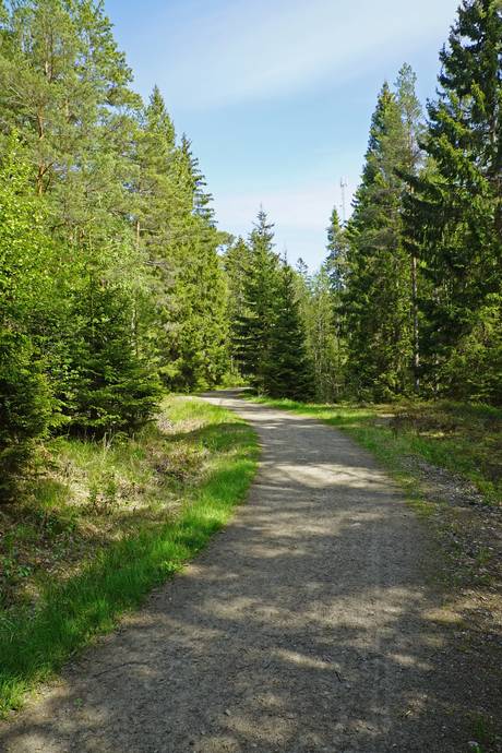 Gård/skog på Övre Hammarby Haninge kommun - bild 14