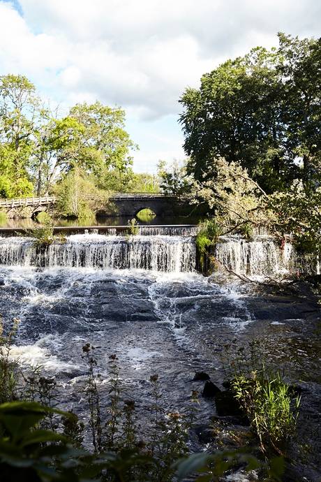 900 m² Gård utan jordbruk på Moholm Herrgård 56 Västergötland Töreboda kommun - bild 16