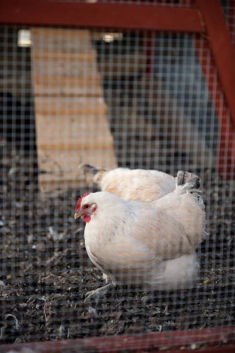 5 rum Vinterbonat fritidshus på Berg 155 Västerfärnebo Sala kommun - bild 56