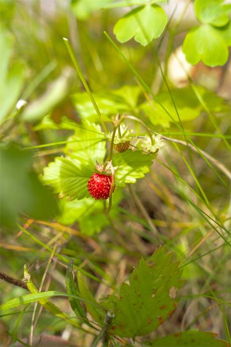 2 rum Villa på Ängelsbergsvägen 86 Ängelsberg Fagersta kommun - bild 29