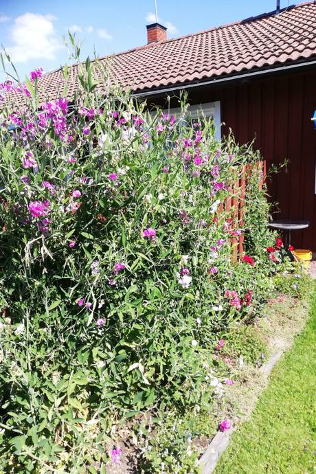 5 rum Villa på Klasrovägen 57B Häggvik Sollentuna kommun - bild 29