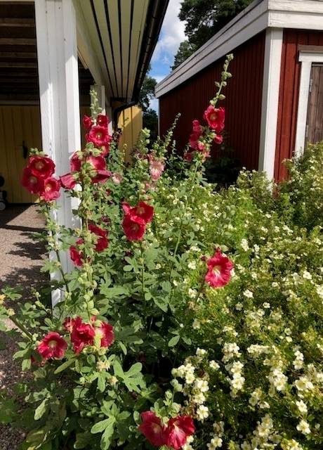 6 rum Villa på Snickarvägen 4 Foghammar Östhammars kommun - bild 31