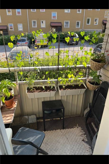 2 rum Lägenhet på Hagagatan 46c Haga Norrköpings kommun - bild 10