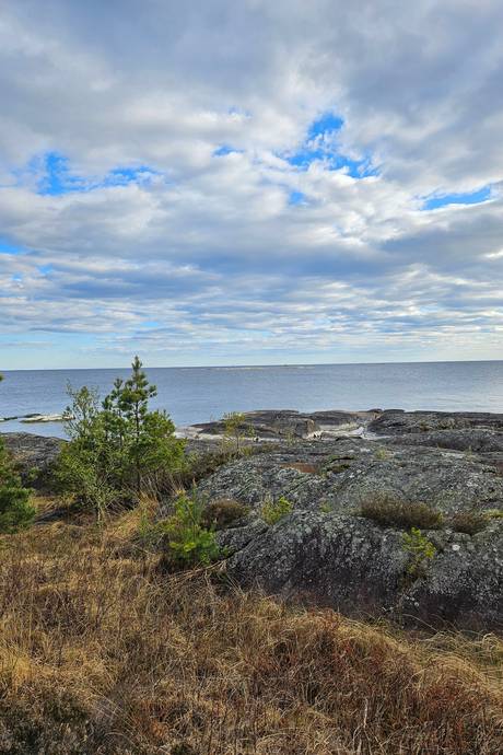 Gård/skog Bena Hammarö kommun - bild 1