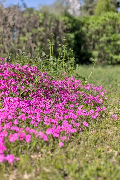3 rum Villa på Nordhemsvägen 1 Norra Gottsunda Villaområde Uppsala kommun - bild 30