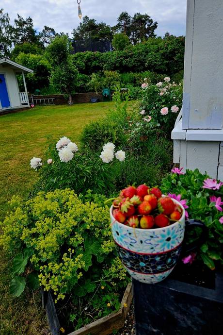 4 rum Kedjehus på Sälgstigen 31 Nynäshamn Nynäshamns kommun - bild 41
