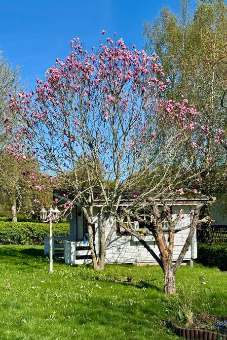 5 rum Villa på Olofstorpsvägen 29 Centrala Axvall Skara kommun - bild 12