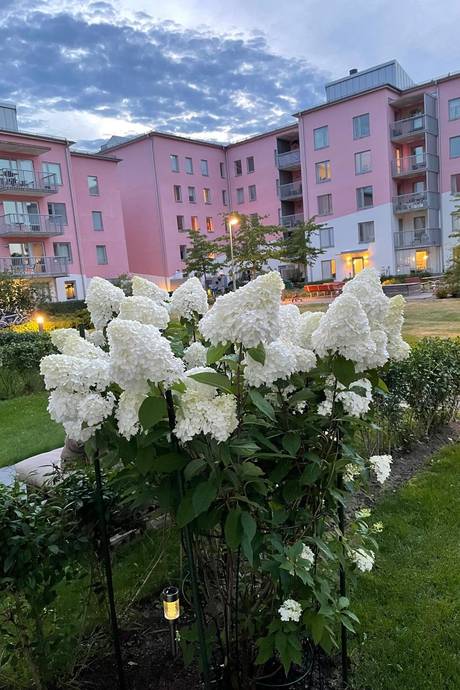 4 rum Lägenhet på Maja Snis gata 2 Porslinskvarteren Värmdö kommun - bild 12