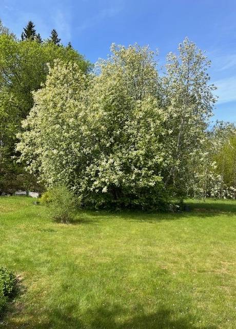 5 rum Villa på Polygonvägen 10 Viksjö Järfälla kommun - bild 9