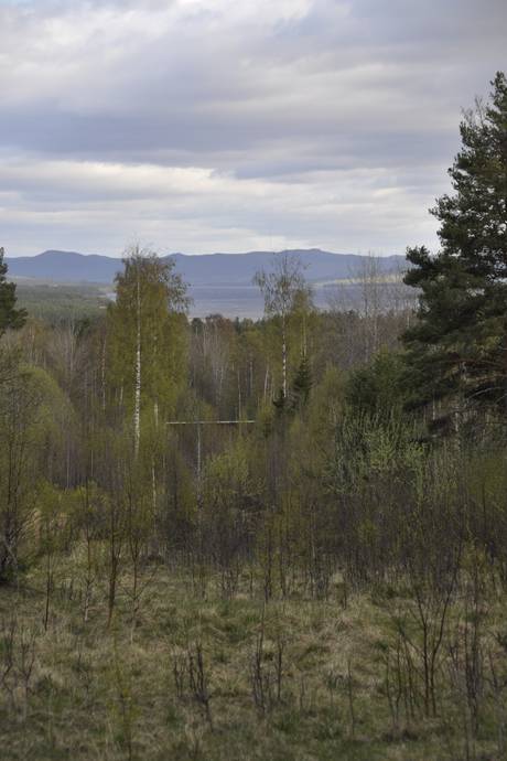 Gård utan jordbruk på Glissjöberg 435 Glissjöberg Härjedalens kommun - bild 62