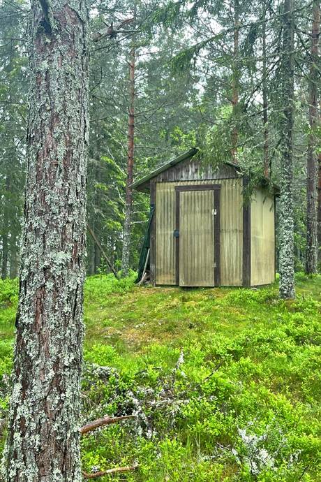 Gård/skog på LYSSÅS Karlanda Årjängs kommun - bild 9