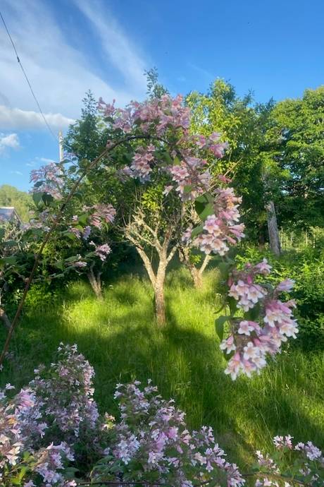 6 rum Villa på Slättaryd 6 Sandhult Borås kommun - bild 59