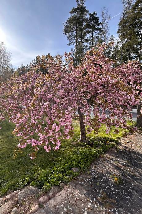 6 rum Villa på Södra Dragsviken 772 Drag Kalmar kommun - bild 54