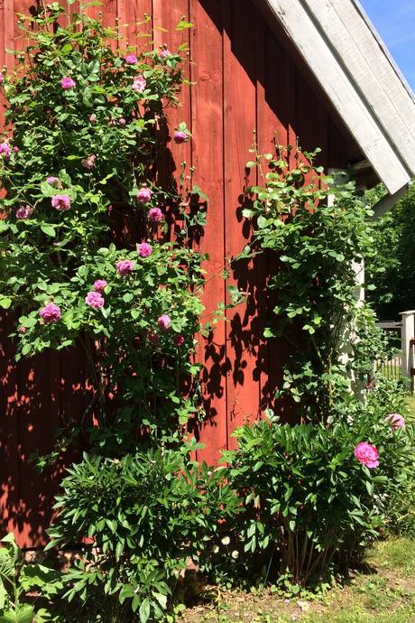 4 rum Villa på Venenäs 115 Rockneby Kalmar kommun - bild 40