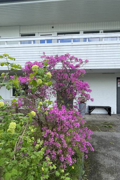 5 rum Villa på Annestorpsvägen 15 Lindome | Annestorp Mölndals kommun - bild 66