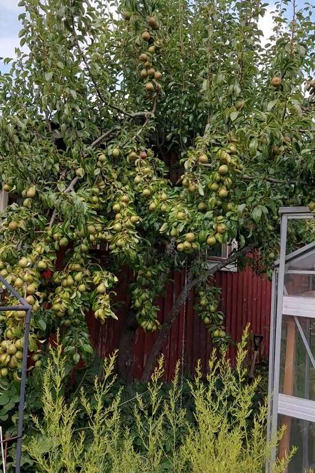 4 rum Villa på Allévägen 1A Hagaström Gävle kommun - bild 48
