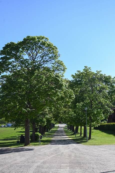 405 m² Villa på Persbacka allé 6, 8 och 10 Hille Gävle kommun - bild 18